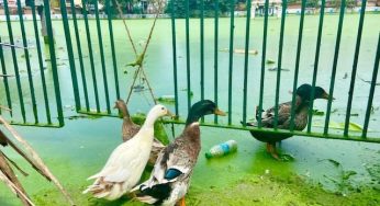 சித்ரகுளத்திலிருந்து தெருக்களுக்கு பாய்ந்தோடிய தண்ணீர் நிறுத்தப்பட்டது.