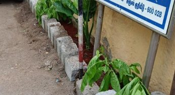 இந்த மந்தைவெளி சமூகம் துர்நாற்றம் வீசும் பகுதியை சுத்தமான மற்றும் பசுமையான இடமாக மாற்றியுள்ளது.