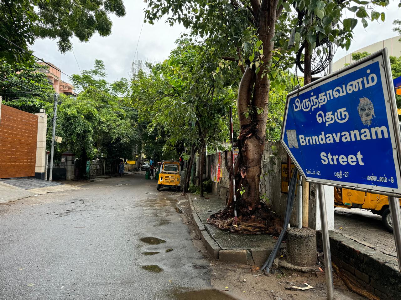 Bridavanam street